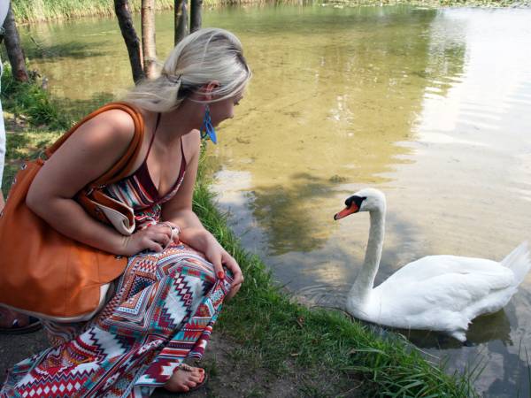 Domki letniskowe nad jeziorem - Mazury Garbate