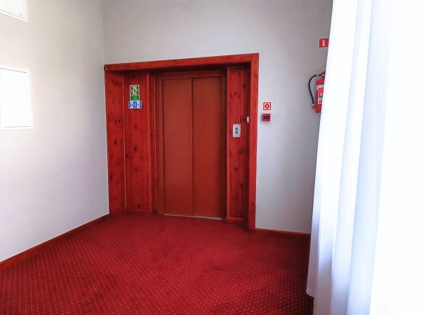 Winda w Willi Storczyk