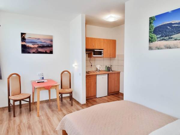 Pokój 2 osobowy z aneksem kuchennym