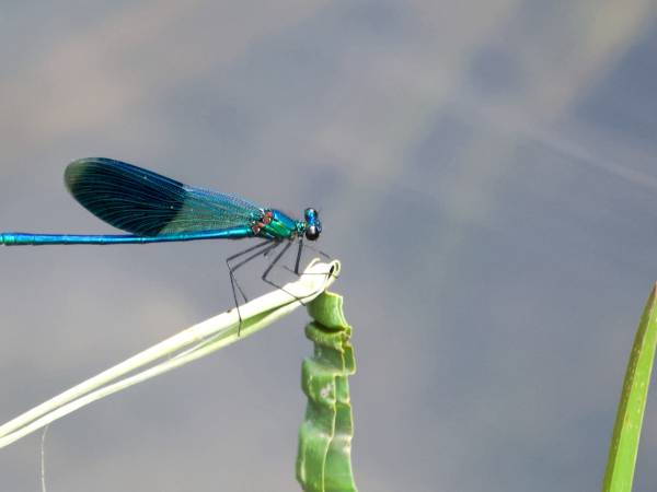 Ośrodek Wypoczynkowy Perła Krutyni 