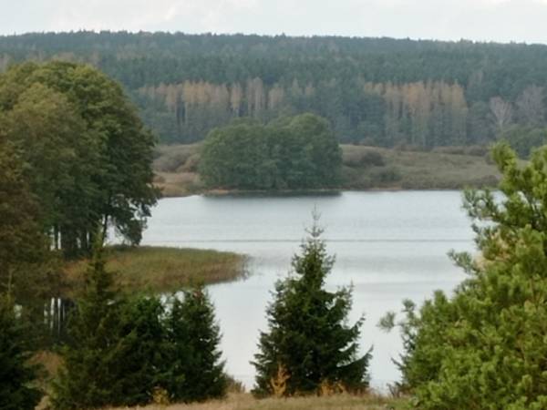 Domy, Domki, Plaża, Kajaki, Ryn, Rybical, Skorupki 