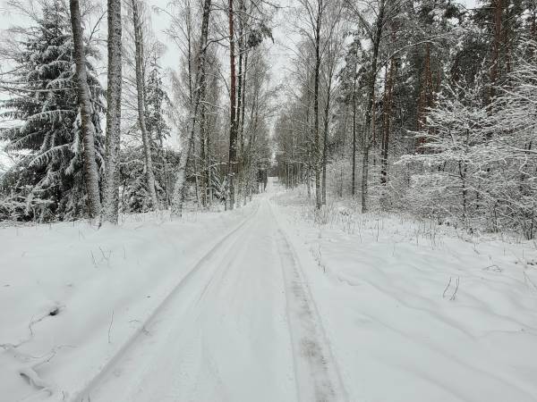 Miodowy Domek na Mazurach