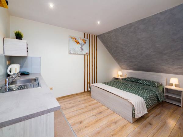 Pokój z aneksem kuchennym, łazienką oraz balkonem