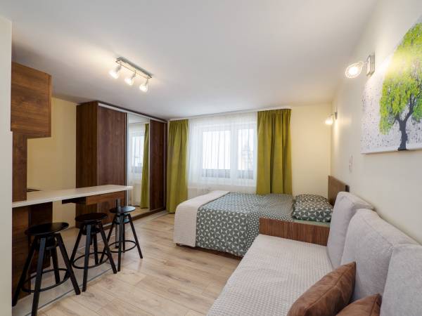 Pokój z aneksem kuchennym, łazienką oraz balkonem