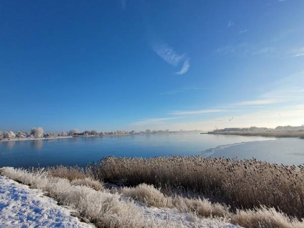 Wyspa Sobieszewska zimą 