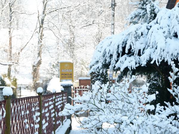 Pokoje Gościnne Adam