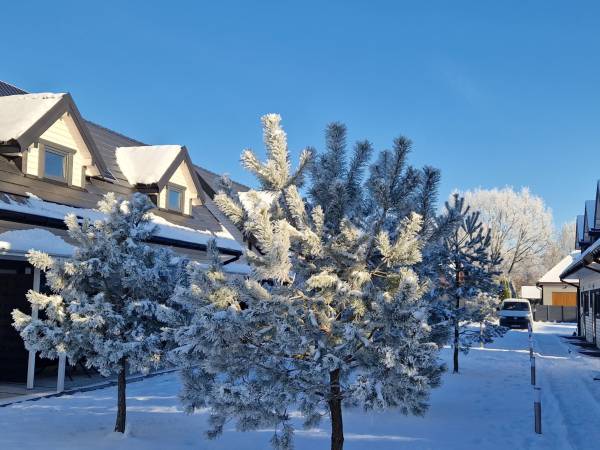 Osada Jantar - Komfortowe i Luksusowe Domki