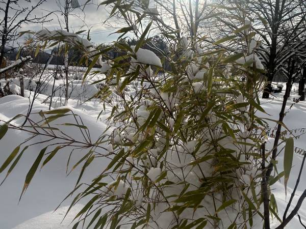 Agroturystyka w sercu w Gór Sowich - Przygórze 201