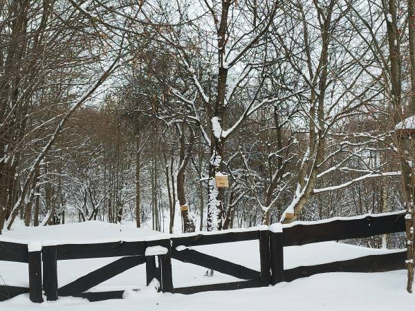 Siedlisko ,,Zenówka''