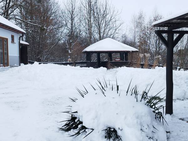 Siedlisko ,,Zenówka''