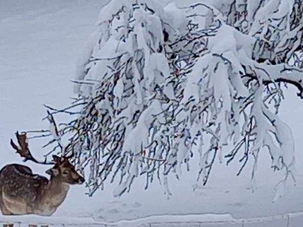 Agroturystyka Pod Złotą Wiechą