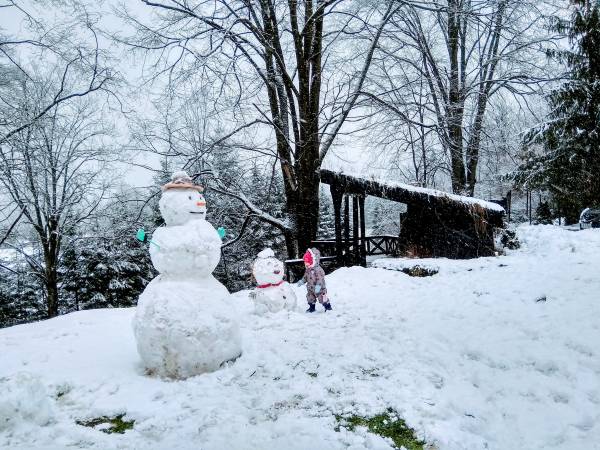 Ostoja nad potokiem Dwernik