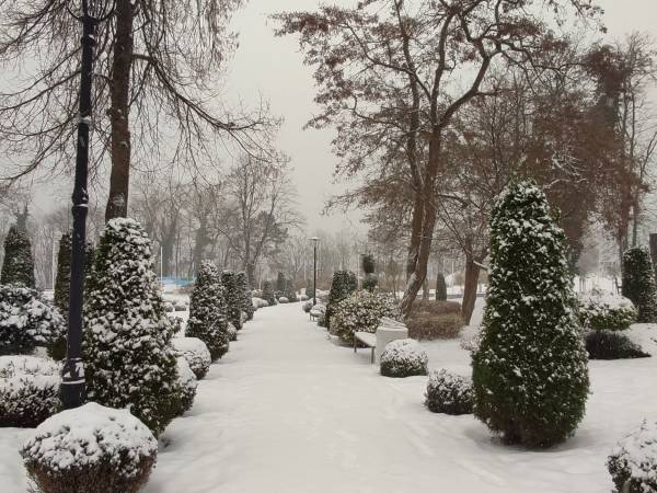 Pod Dębem Pokoje Gościnne