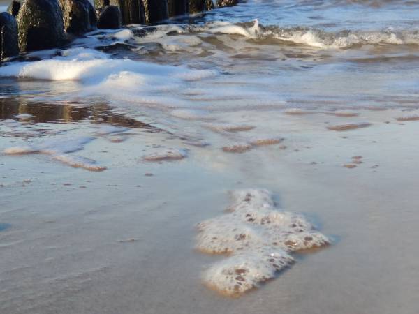 Pod Dębem Pokoje Gościnne