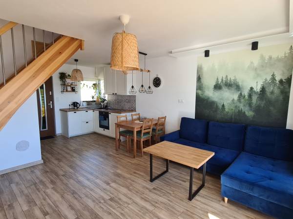 Domki nad jeziorem, Kaszuby, linia brzegowa, sprzęt wodny