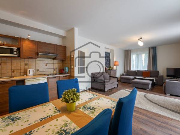 parter - salon z aneksem kuchennym