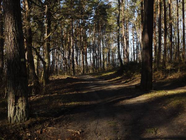 Ośrodek Wypoczynkowy Słoneczna Plaża