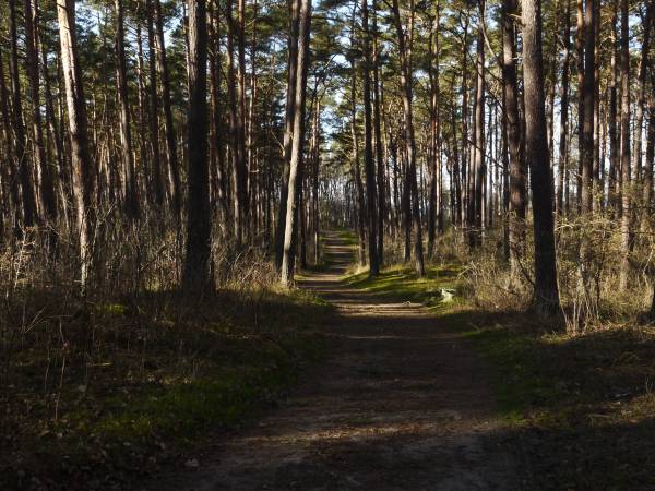 Ośrodek Wypoczynkowy Słoneczna Plaża
