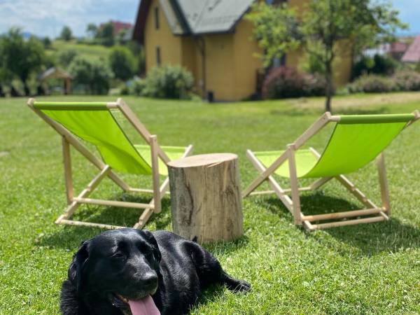 Apartamenty ADAMCYKÓWKA z jacuzzi i sauną