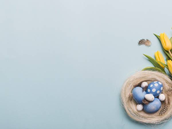 Górska Przystań SPA 