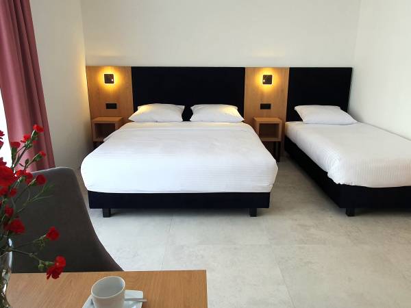 Bursztynowa Rosa & Wypożyczalnia rowerów elektrycznych