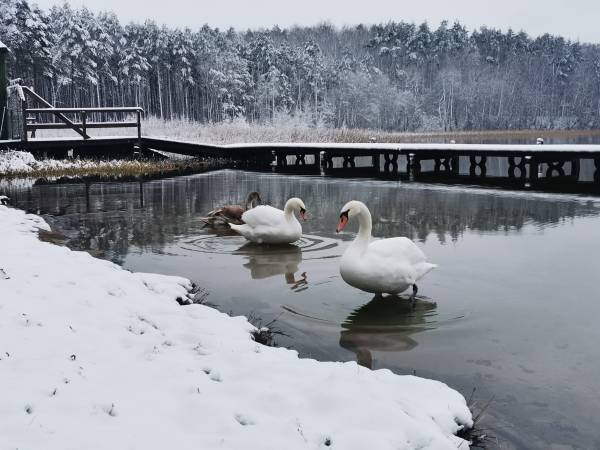 Ośrodek Wypoczynkowy Twardy Dół