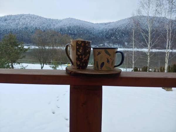 Babuśkowe Domki - Klimkówka