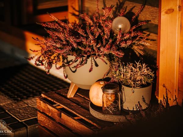 Chaty na Cholewicy Domki Całoroczne