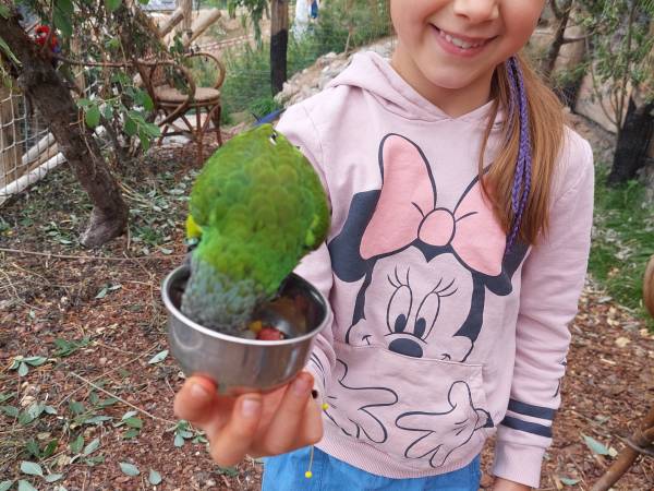 Leszczynowa Górka-Mazurskie Siedlisko w Silcu