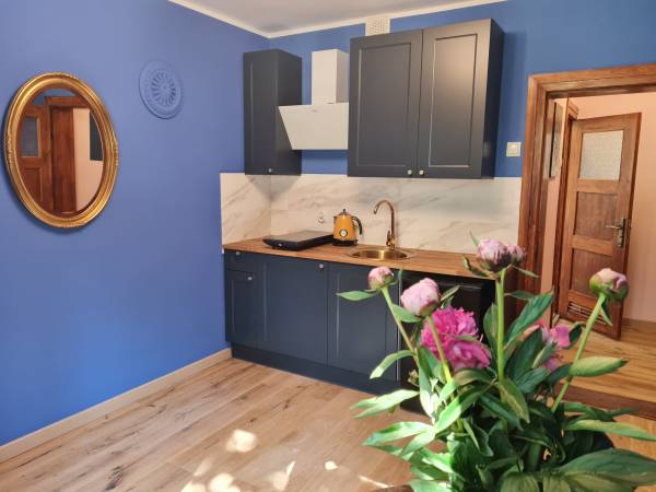 Apartament Retro - aneks kuchenny