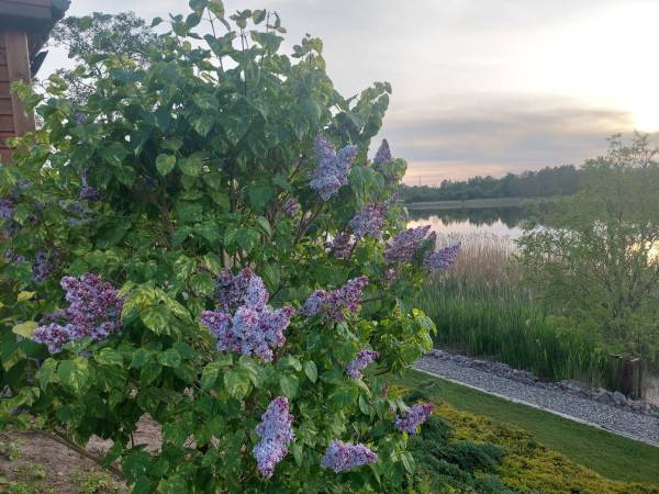 Agroturystyka Bobrowa Chata