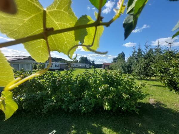 Agroturystyka Bobrowa Chata