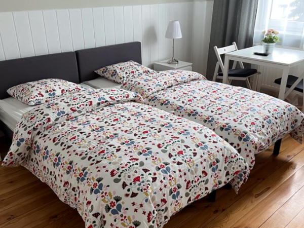 Willa Teresa Busko - Zdrój