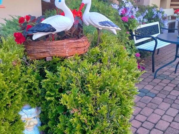 Willa Małgośka Wynajem pokoi 