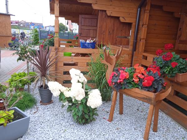 tak mamy pięknie u siebie w środku lata