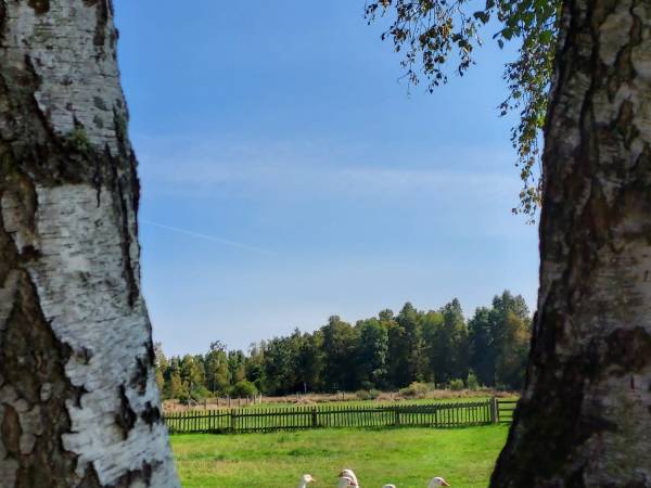 Apartamenty "Przy Klifie"