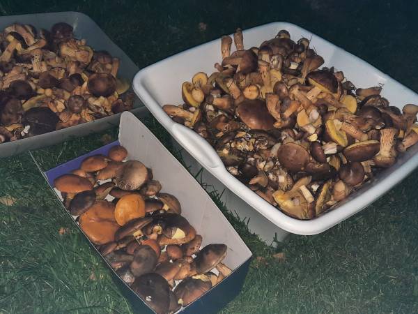 bywają i takie zbiory