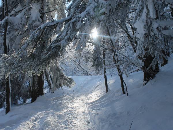 Szlak na Trzy Korony w sceneri zimowej