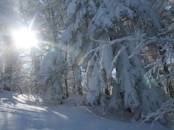 Szlak na Trzy Korony w sceneri zimowej