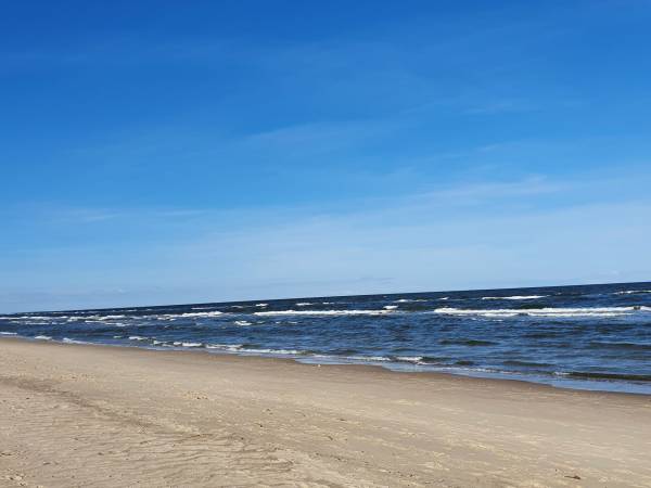 Domki letniskowe Mateo