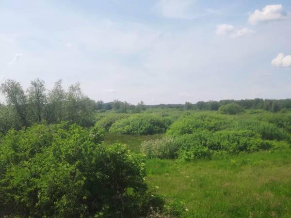 Widok na torfowiska z sypialni w domku trzy