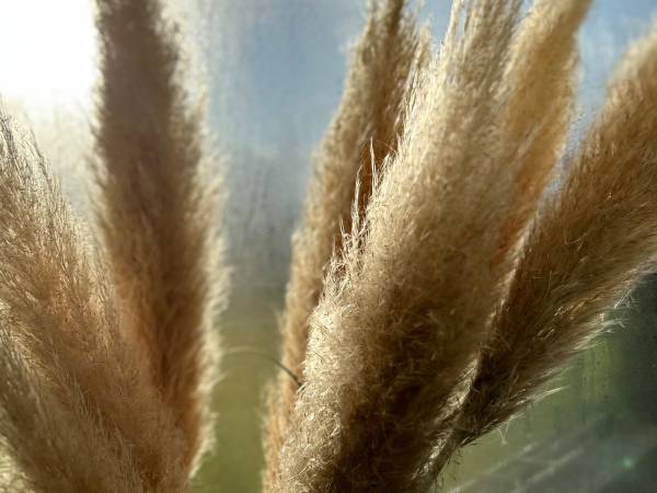 Apartamenty ADAMCYKÓWKA z jacuzzi i sauną