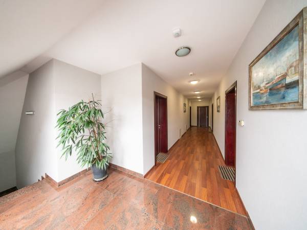 Apartamenty Leśne