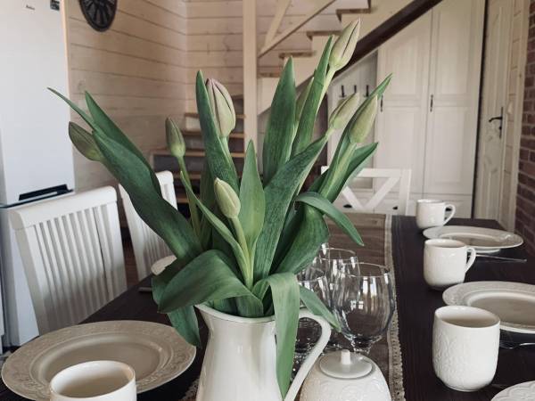 Dom z Patyków, salon z kuchnią