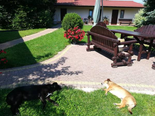 Obykole Stanisława Kowalczyk