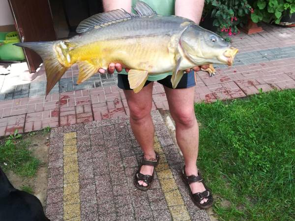 Obykole Stanisława Kowalczyk