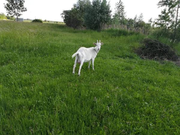 Obykole Stanisława Kowalczyk