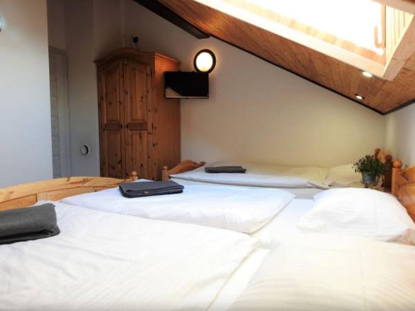 Pokoje i domki Elizabeth