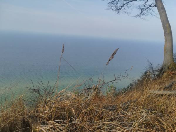 Widok z tarasu widokowego w Wolińskim Parku Narodowym.