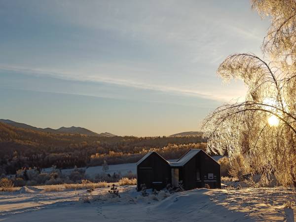 Pod Gwiazdami Bieszczady